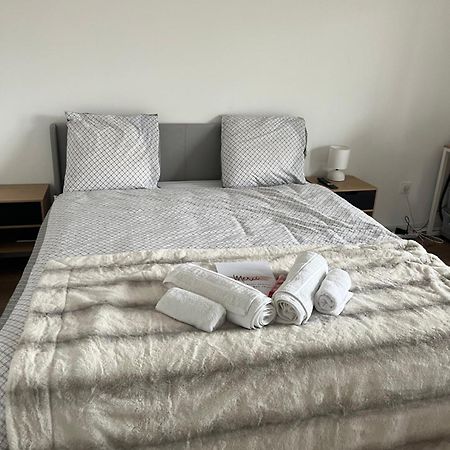 Appartement Luxueux Au Coeur De Lille Bagian luar foto