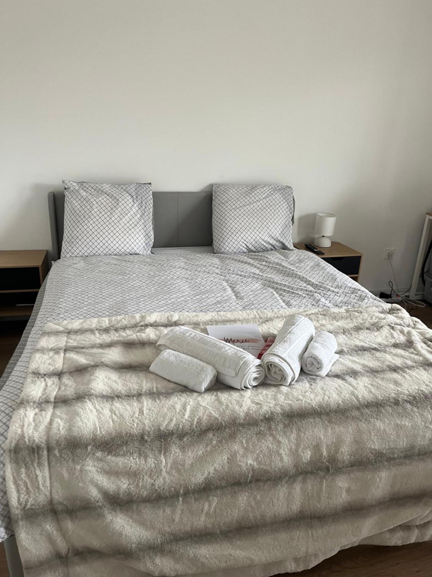 Appartement Luxueux Au Coeur De Lille Bagian luar foto